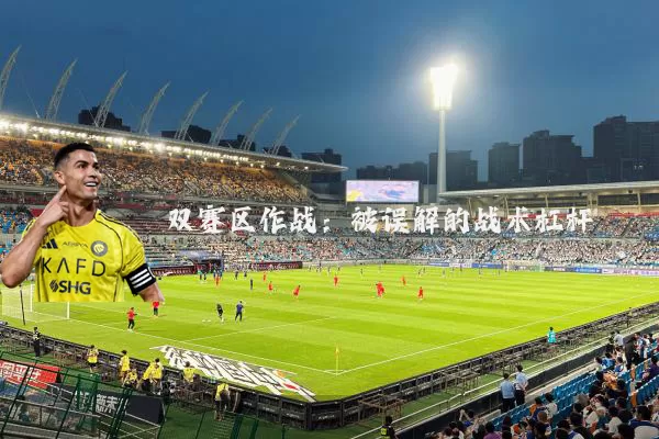 双赛区作战：被误解的战术杠杆